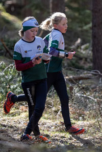 Veckans bild v 17 2026