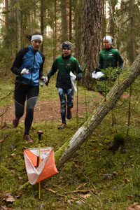 Veckans bild v 52 2024