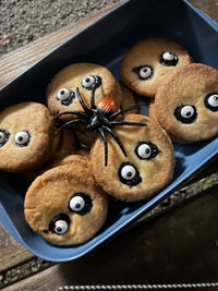 Veckans bild v 45 2025