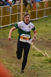 Veckans bild v 47 2025